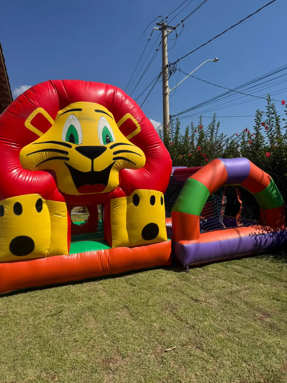 Pula-pula do leão e piscina de bolinhas montados para festa